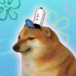 ͷ��