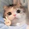ͷ