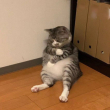 ͷ��