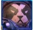 ͷ��