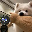 ͷ