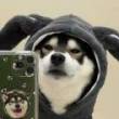 ͷ��