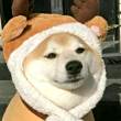 ͷ