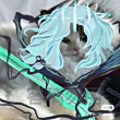 ͷ