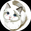 ͷ��