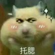 ͷ��