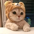 ͷ