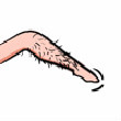 ͷ��