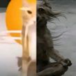 ͷ��