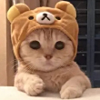 ͷ