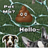 ͷ