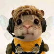 ͷ��