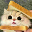ͷ��