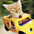 ͷ��