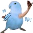 ͷ��
