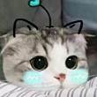 ͷ