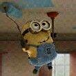ͷ