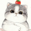 ͷ��