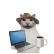 ͷ��