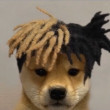 ͷ