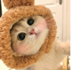ͷ��