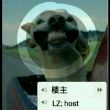 ͷ��