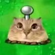ͷ��