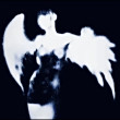 ͷ