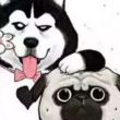 ͷ��
