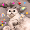 ͷ��