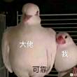 头像