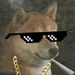 ͷ