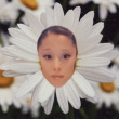 ͷ��