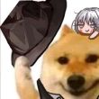 ͷ��