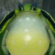 ͷ��