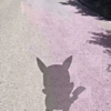 ͷ