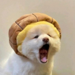 ͷ��