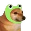 ͷ��