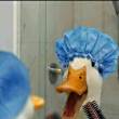 ͷ