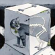 ͷ