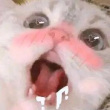 ͷ��