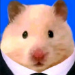 ͷ��