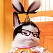 ͷ