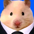ͷ