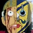 ͷ