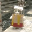 ͷ��