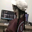 ͷ
