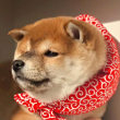 ͷ