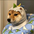 ͷ��