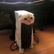 ͷ��